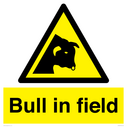 bull-in-field~